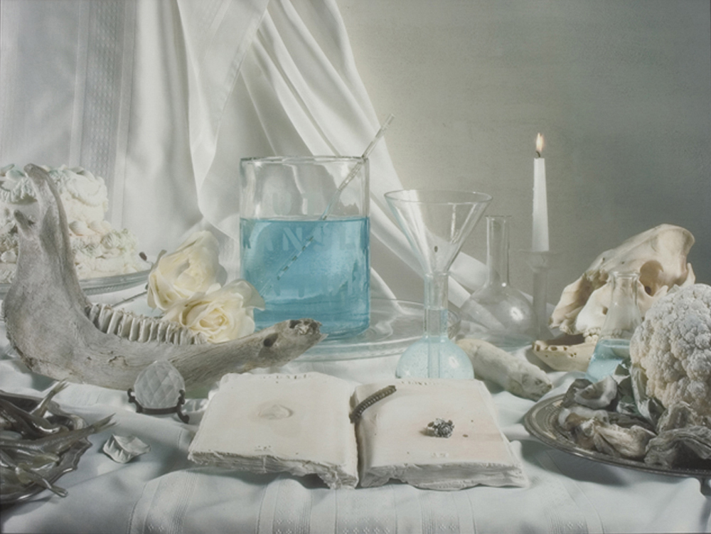 The Chemistry Experiment. Pigmented ink on canvas. 51" x 67". 2005.