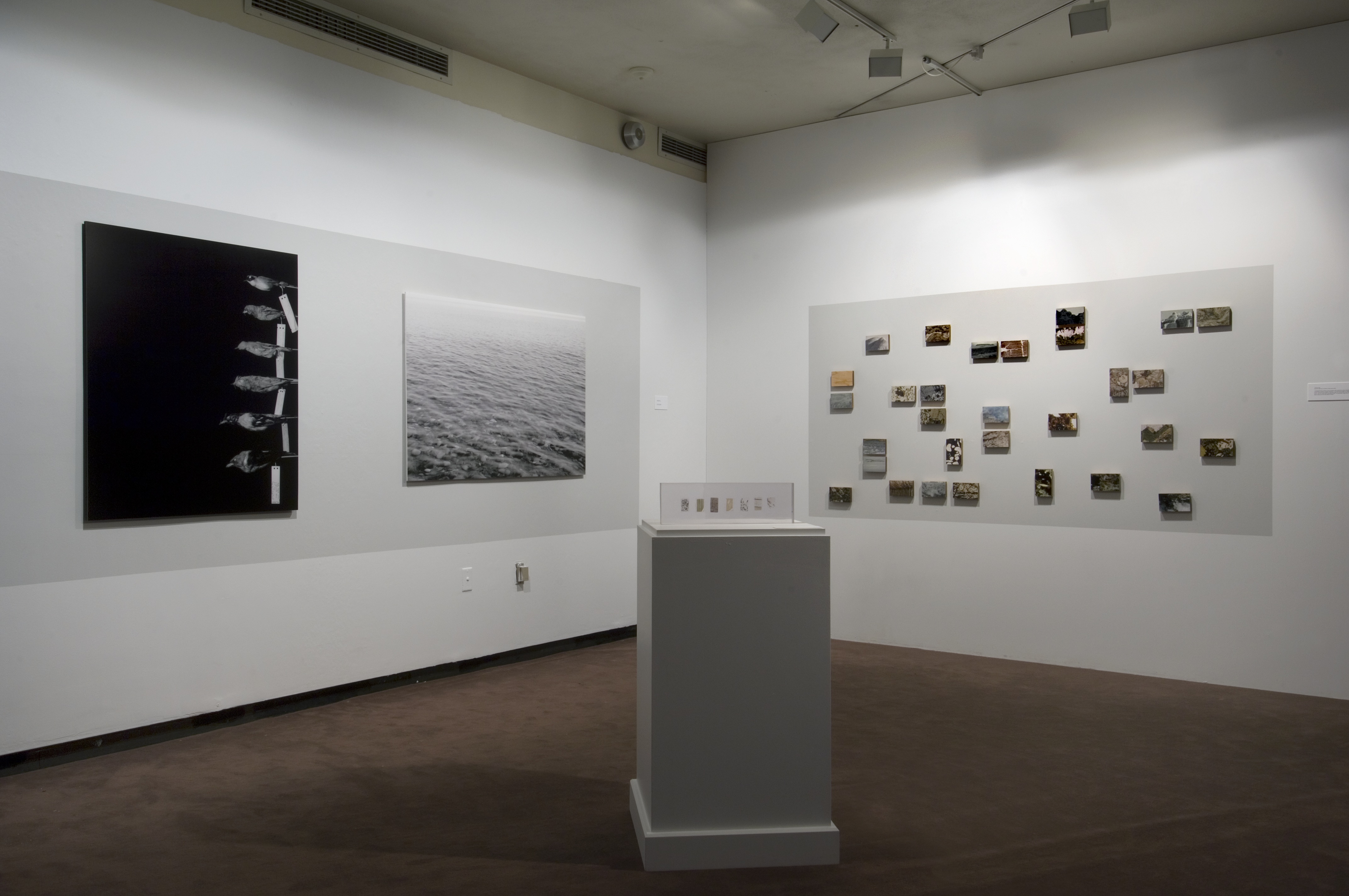 Sound Suspended Installation View III