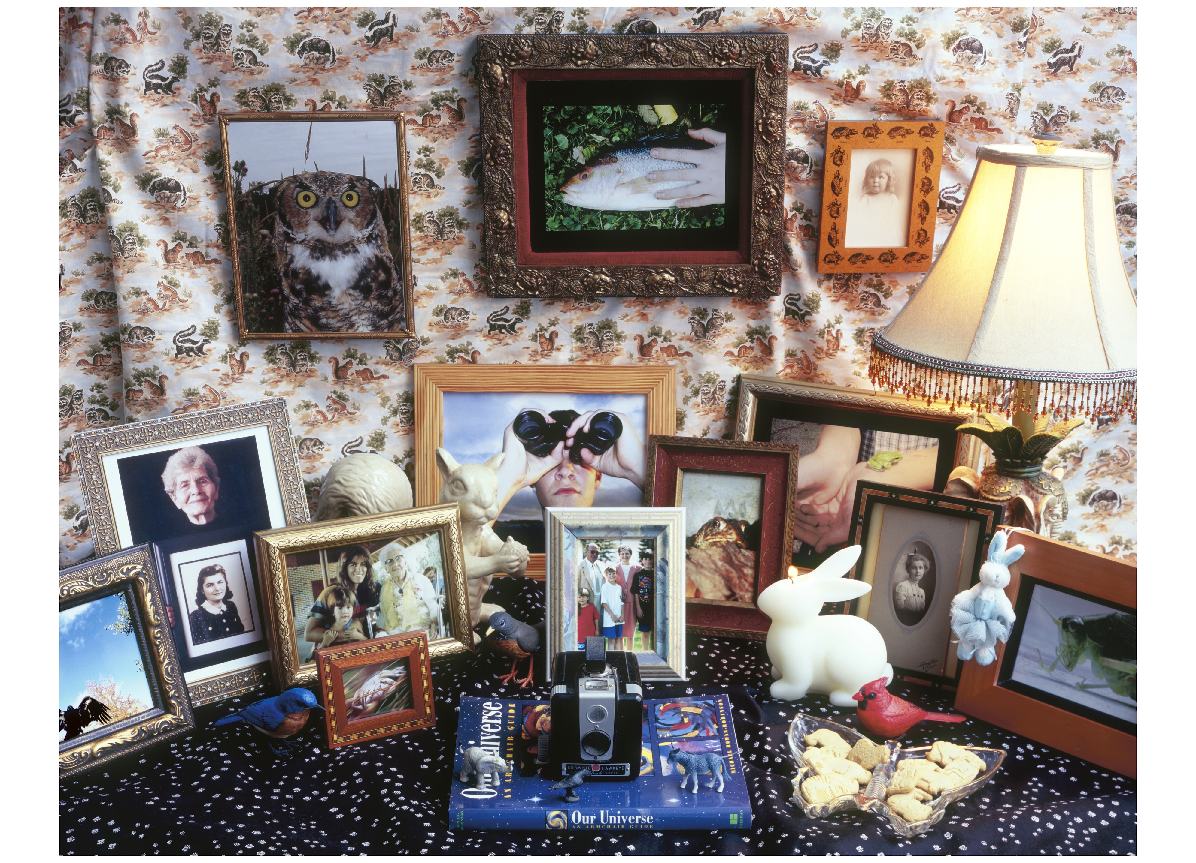 Family Stories. Pigmented ink on canvas. 51" x 67". 2005.