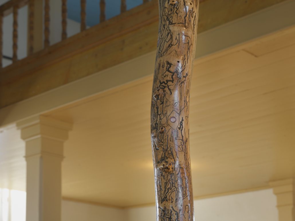 Fire Limb Detail with black water mussel shell, copper.