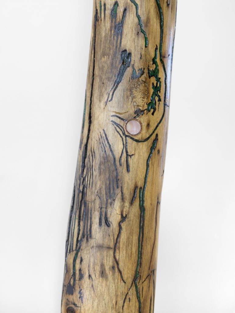 Moss Limb Detail with black water mussel shell, copper.