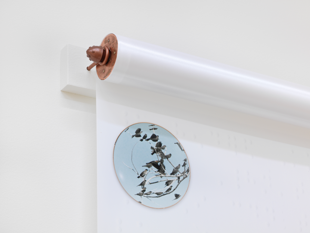 Sommer Blind detail