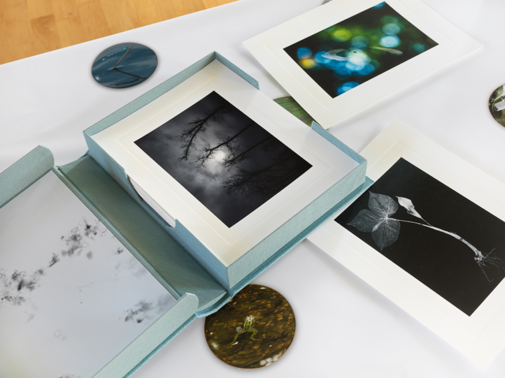 Vår Clamshell Portfolio. Leather, pigmented ink fabric, book cloth. 9.5"w x 12"h x 2"d. 2015. Vår Tablecloth. Pigmented ink on satin. 44" x 84". 2017. Embossed photographic prints. 8.5" x 11". 2017