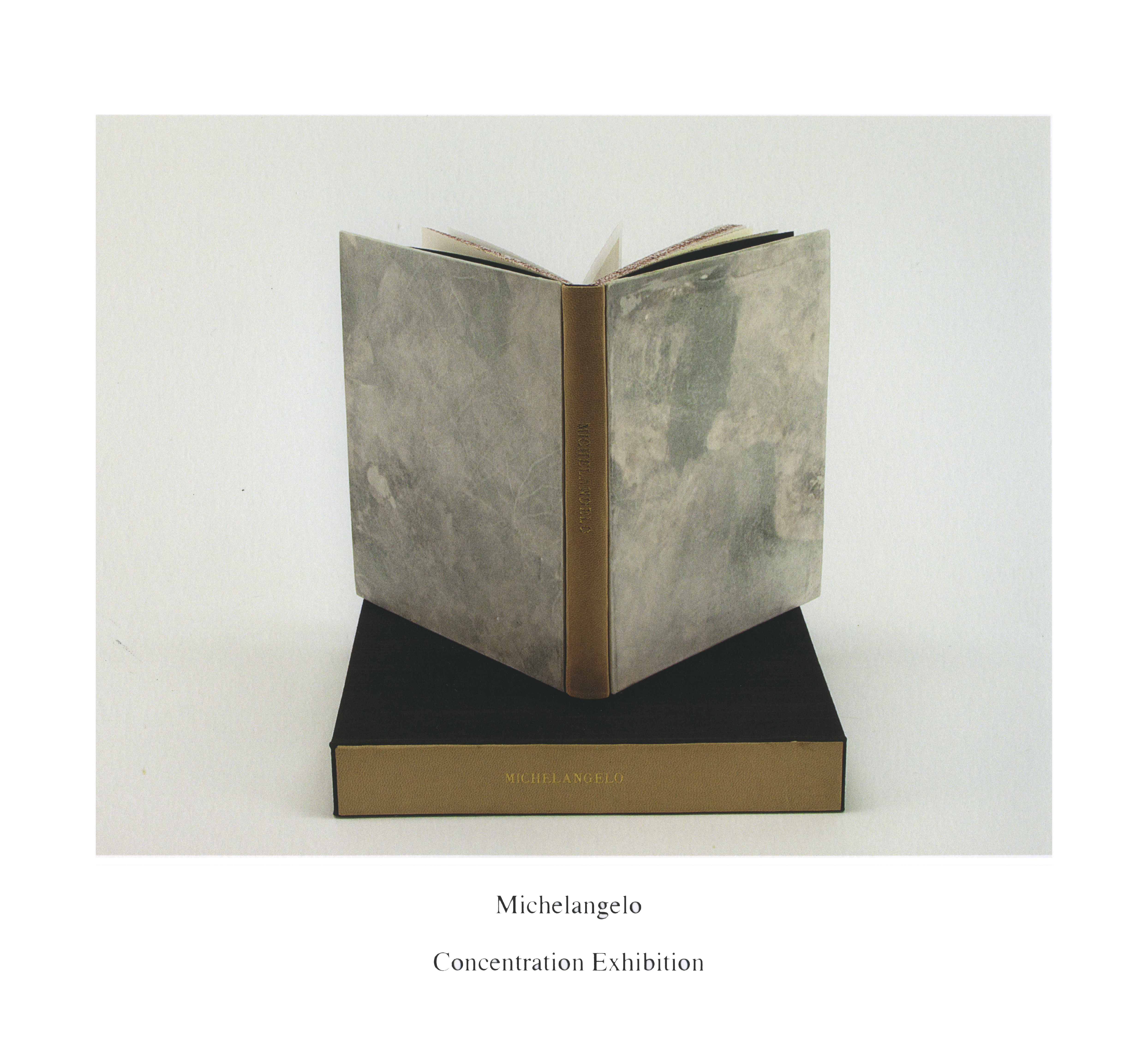 Michelangelo. Leather, parchment, book cloth. 2012