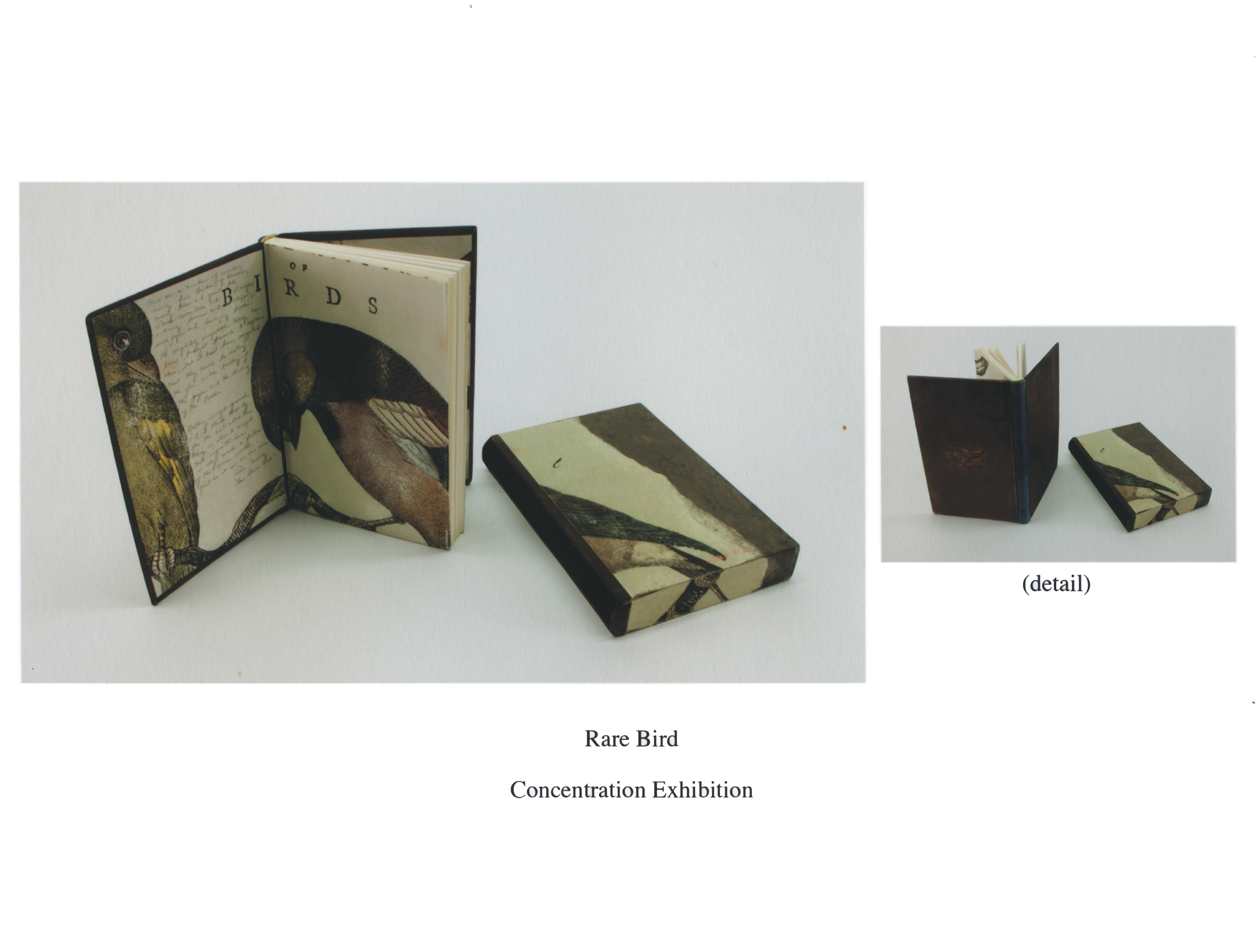 Rare Bird. Leather, paper. 2012