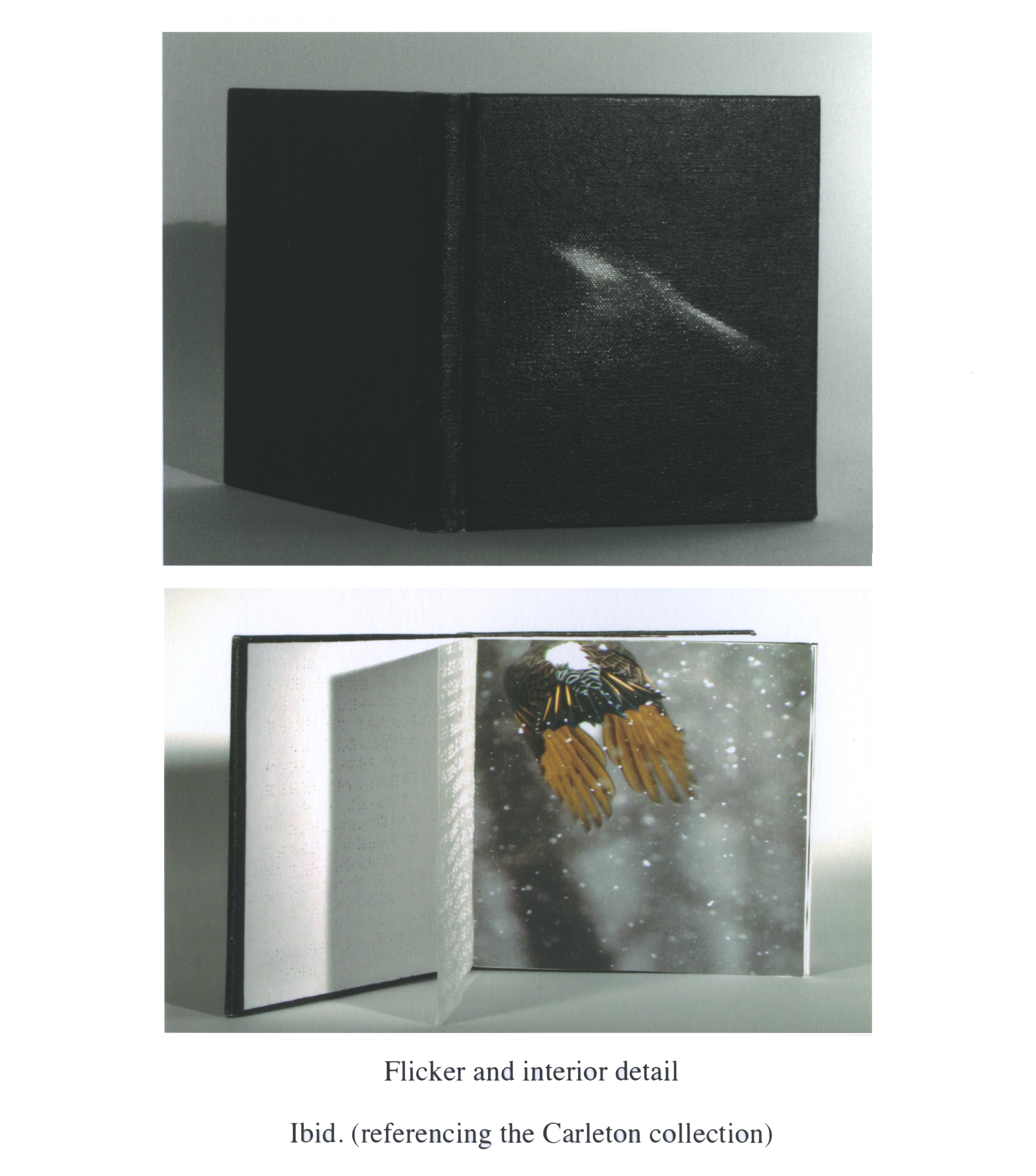 Flicker and interior. Pigmented ink on canvas, Braille, pigmented ink on watercolor. 2012