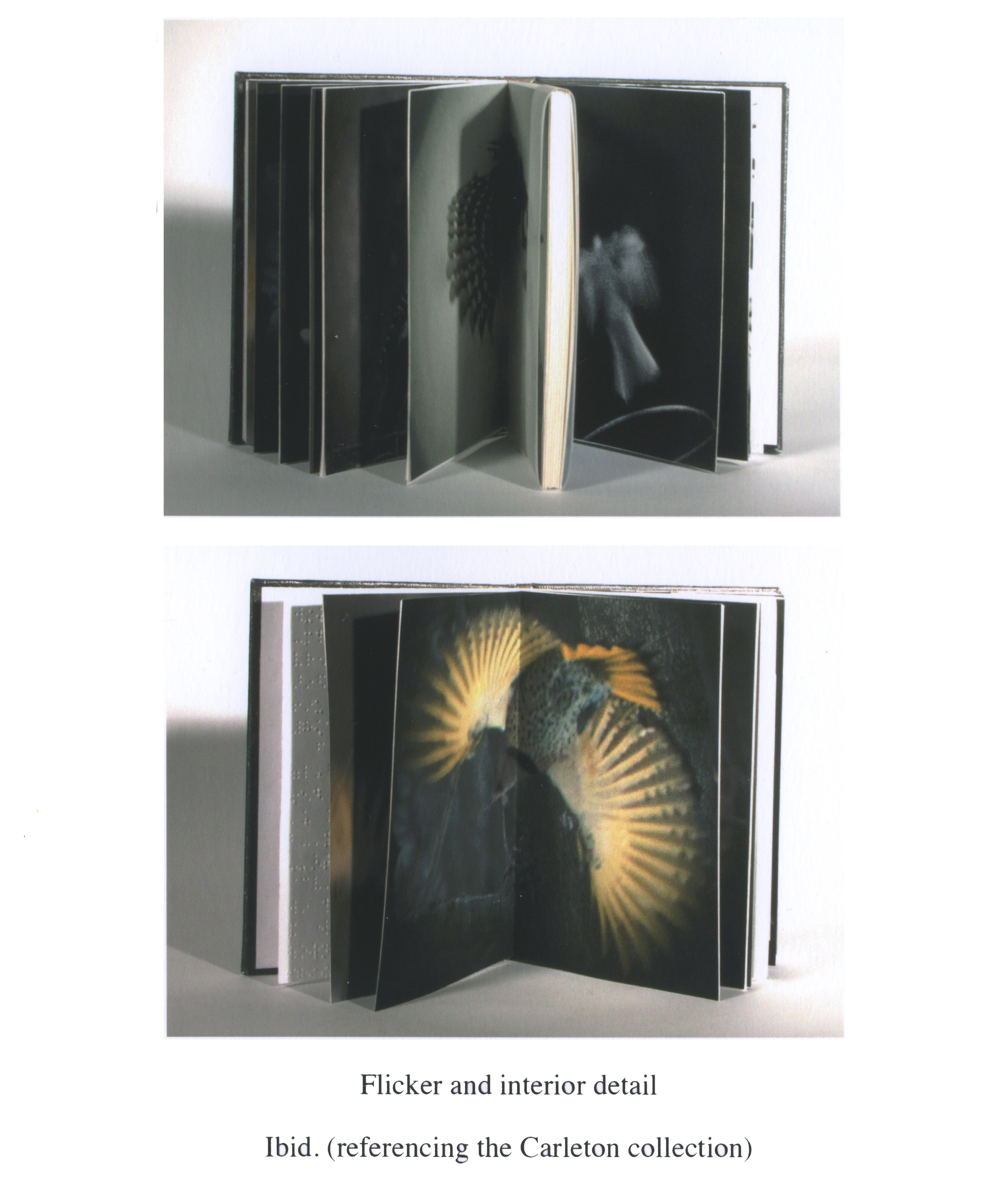 Flicker and interior. Pigmented ink on canvas, Braille, pigmented ink on watercolor. 2012