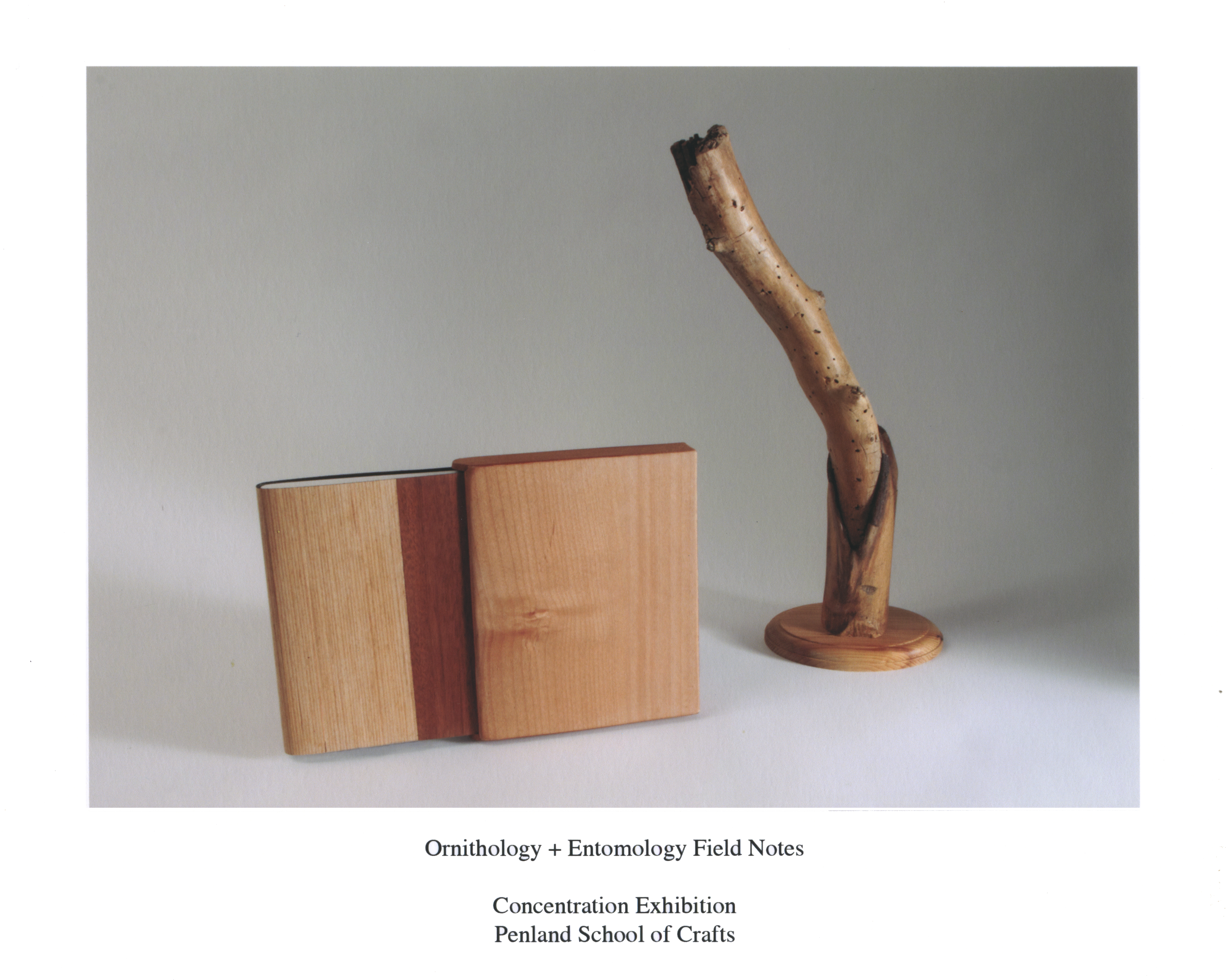 Ornithology + Entomology Field Notes. African and Honduran mahogany veneer, suede, paper, birch wood. 2012