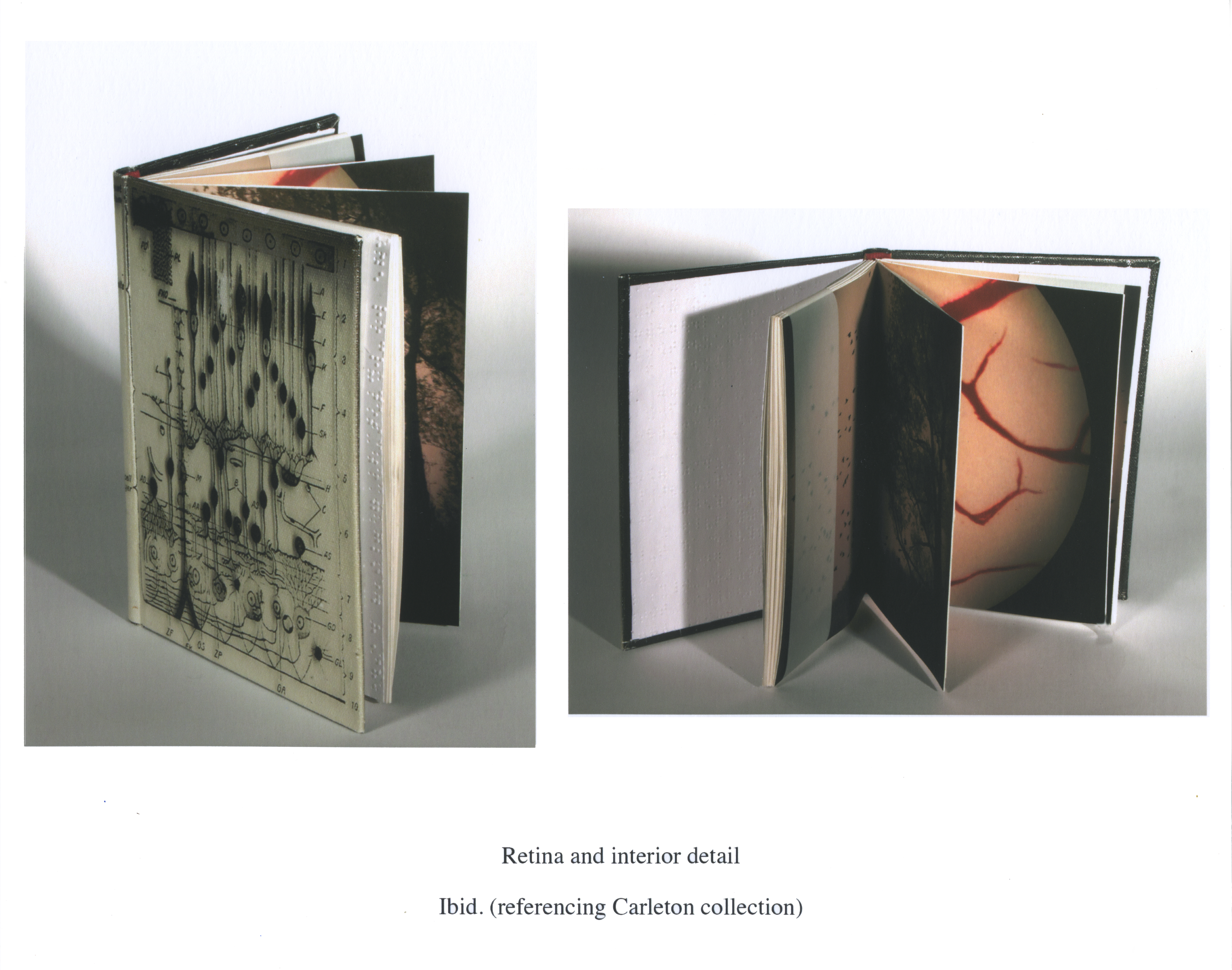 Retina and interior. Pigmented ink on canvas, Braille, vellum. 2012