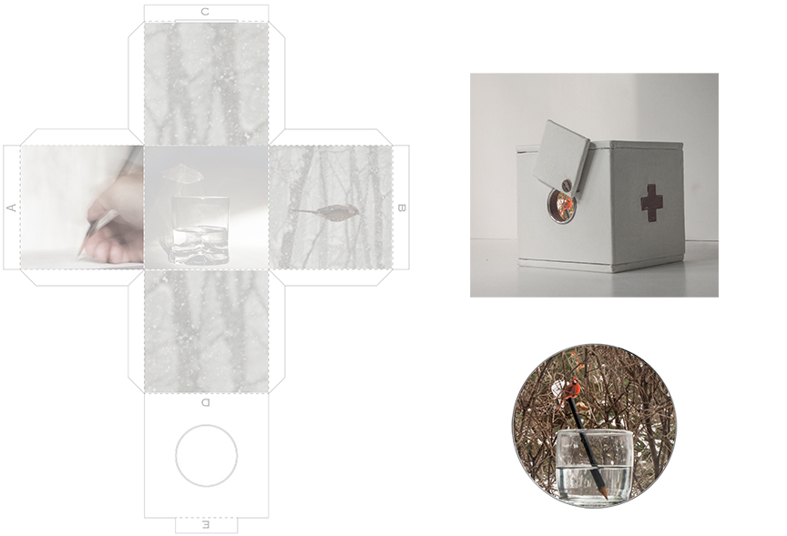 Template For Cardinal Box